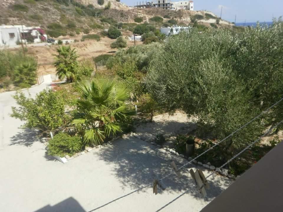 Denise Apartments Kefalos  Bagian luar foto